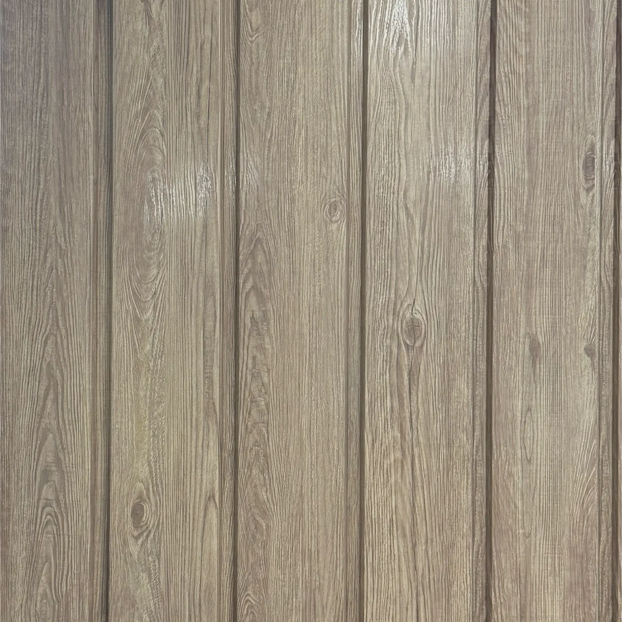 Ash_4x_ebdd6ffa-bbbf-4117-a93f-35dcf743bf4a